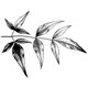 Magenta Cling Stamps 3.25"X3.75"-Leaf Branch