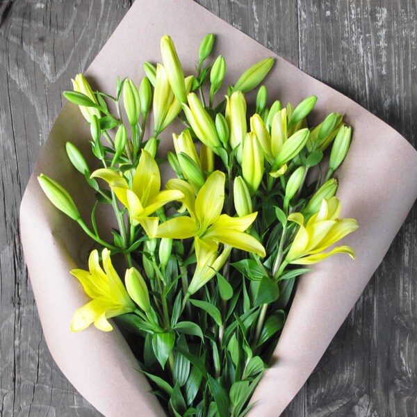 The Bouqs Volcano Collection 'Pow' Deluxe Lily Bouquet