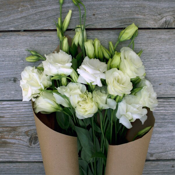 The Bouqs Volcano Collection 'White Knight' Single Lisianthus Bouquet