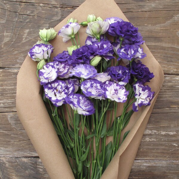 The Bouqs Volcano Collection 'Charmed I'm Sure' Single Lisianthus Bouquet