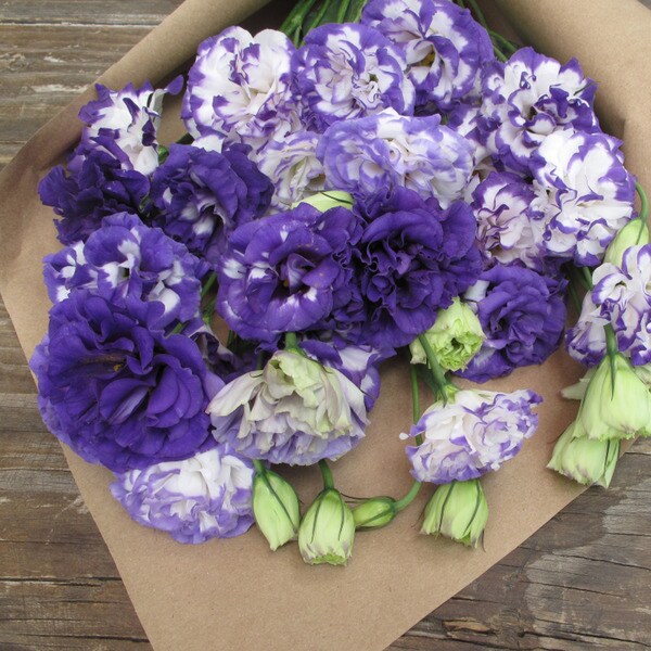 The Bouqs Volcano Collection 'Charmed I'm Sure' Deluxe Lisianthus Bouquet