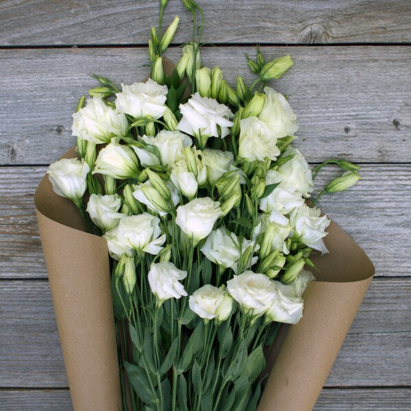 The Bouqs Volcano Collection 'White Knight' Deluxe Lisianthus Bouquet