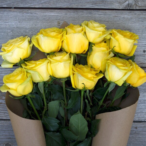 The Bouqs Volcano Collection 'The Best Around' Single Rose Bouquet