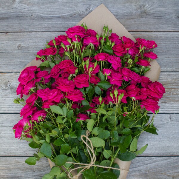 The Bouqs California Collection 'That's Hot' Deluxe Spray Rose Bouquet