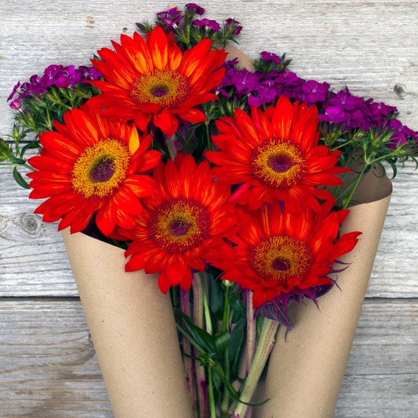The Bouqs California Collection 'Cherry Bombs' Single Sunflower Bouquet