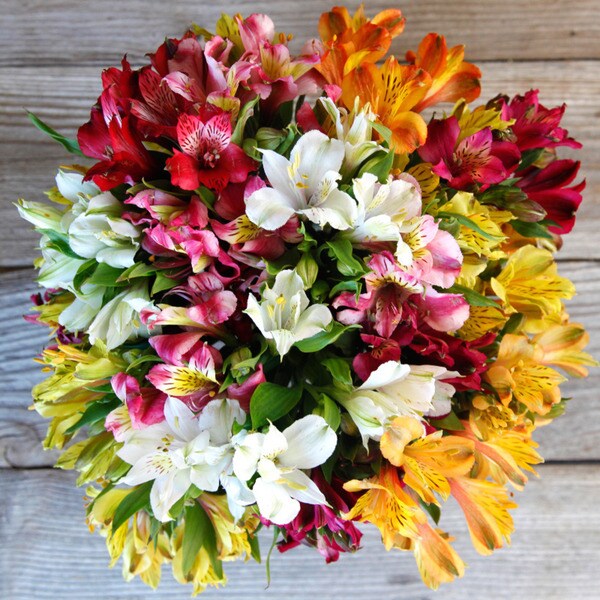 The Bouqs California Collection 'Prism' Deluxe Alstroemeria Bouquet