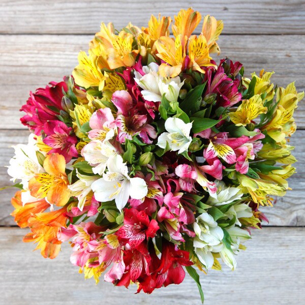 The Bouqs California Collection 'Prism' Single Alstroemeria Bouquet