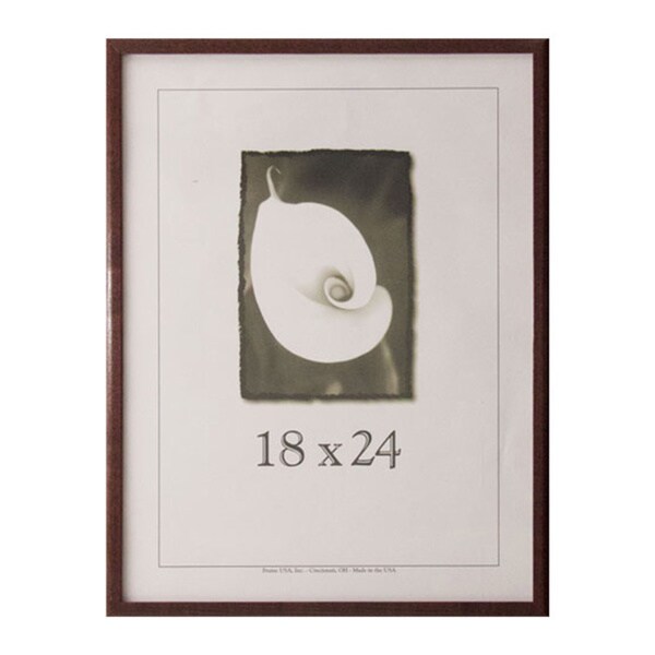 Economy 18inch x 24inch Picture Frame 17108306