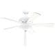 Kichler Lighting Transitional White 52 inch Ceiling Fan with 2-light Kit and Reversable Blades