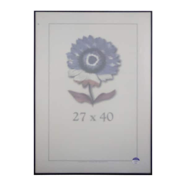 Metal II Picture Frame 27x40 17126026 Shopping