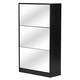 Albany Wood Shoe Storage Cabinet with Mirror In Black