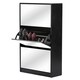 Albany Wood Shoe Storage Cabinet with Mirror In Black