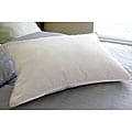 Arctica White Down Pillow