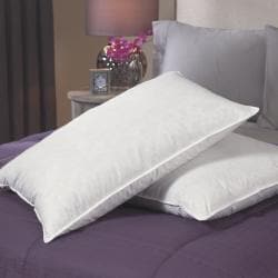 European Legacy Ultimate Comfort Euro-Down Blend Pillows (Set of 2)