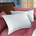 Circle of Down Pillows (Set of 2)