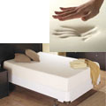 Spring Air Evolution Memory Foam Mattress Set (Queen)