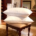 Jessica McClintock White Goose Feather Pillows (Set of 2)