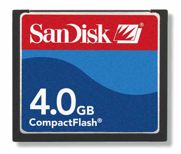 SanDisk 4GB Compact Flash Memory Card 10811652 Shopping Top Rated SanDisk