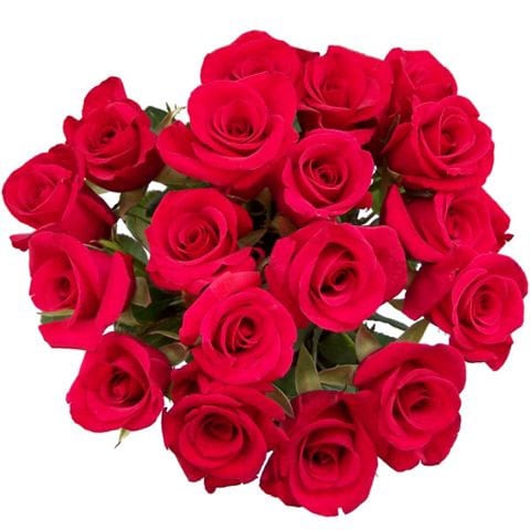 Dozen Red Rose + 6 Free + Single Rose Bouquet  