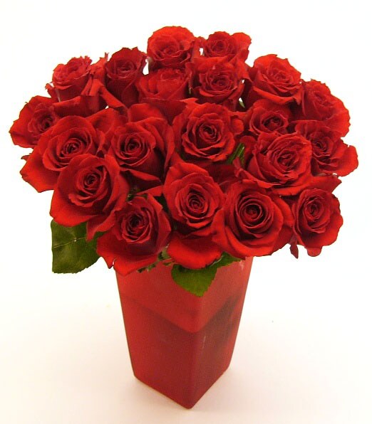 Premium Red Long Stem Roses (Case of 20)  