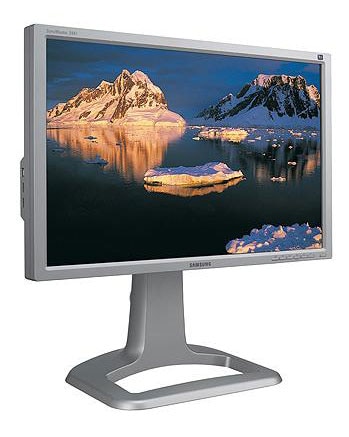 Samsung 244T LCD 24 inch Computer Monitor (Silver) (Refurbished