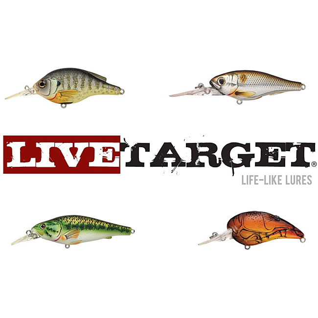 Live Target Bass Fishing Lures 12534891 Shopping