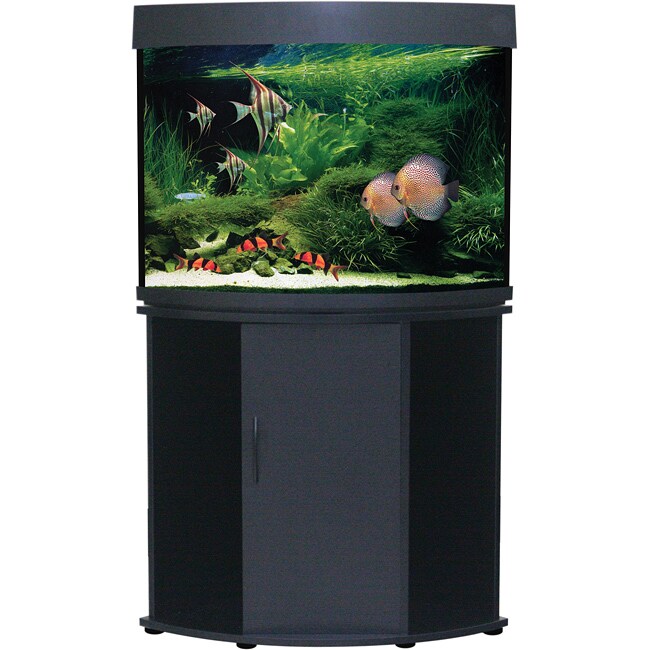 modern fish tank aluminum stand with glass bottom shelf