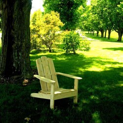 Forever Cedar Adirondack Chair