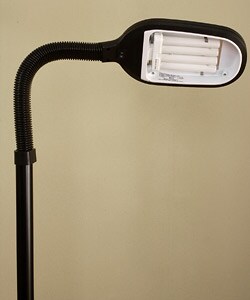 Superior 27-watt Full Spectrum Black Floor Lamp
