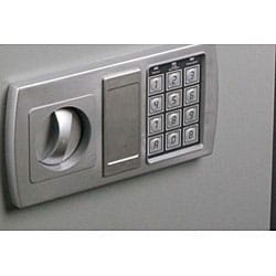 SECUSTAR Emergency Preparedness Personal Home or Business Safe S45E