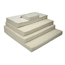 Adjust-A-Coil Plush 1-inch Foam Top Twin Mattress