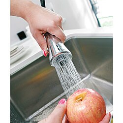 Vigo Chrome Pull-down Spray Kitchen Faucet