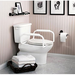 Moen Toilet Safety Rails