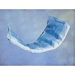 Inspire Premium 4x10-inch Absorbent Liners (Case of 10,000)