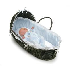 Espresso Hooded Moses Basket in Blue Gingham