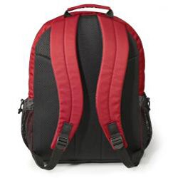 Rick Steves Appenzell 18-inch Backpack