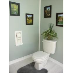 In The Wall Toilet Paper Holder Plus Storage