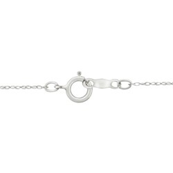 10k Gold Clear Cubic Zirconia Capricorn Astrological Necklace