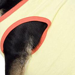 American Apparel Lemon/ Coral California Fleece Dog Vest