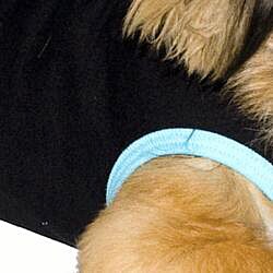 American Apparel Black/ Aqua California Fleece Dog Vest