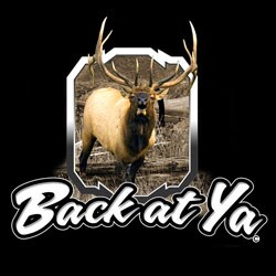 Set of 2 Vinyl Elk Wildlife Window Decals