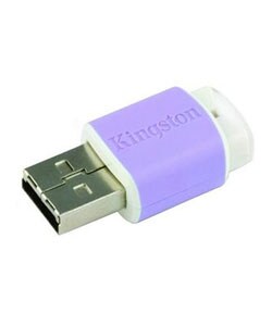 Kingston 2GB DataTraveler Mini Migo USB Flash Drive
