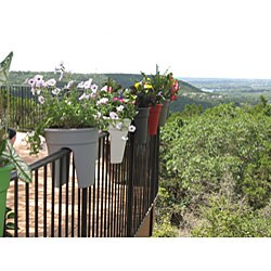 'On the Edge' Planter (Set Of 2)