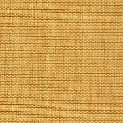Indoor/ Outdoor Oceanview Natural/ Red Runner (2'4 x 6'7)