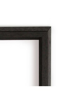 Frank Ritter 'Elegance' Framed Art Print