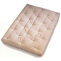 Evolution Spring 1 Queen-size Futon Mattress with Cotton Cover