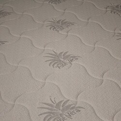 Spinal Response Aloe 8-inch Queen-size Smooth Top Memory Foam Mattress