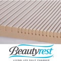 Beautyrest GeoMatt Therapeutic Foam Mattress Pad