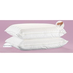 Comfort Memories Memory Foam/ Fiber Pillows (Pack of 2)