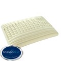 Splendorest 'Perfect' Dots and Stripes Traditional-shape Memory Foam Pillow
